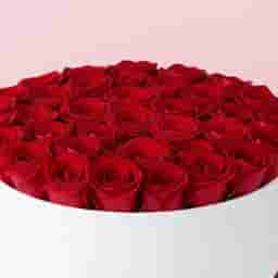 Forever Love Red Roses White Box Gift