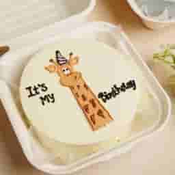 Festive Bento Cake