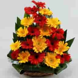 Exhilarating Floral Beauty