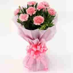 Pink Carnations Bunches