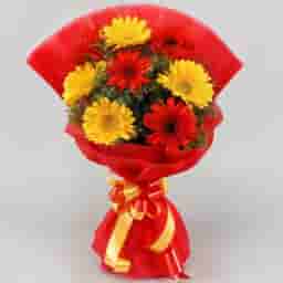 Glorious Red Yellow Gerberas