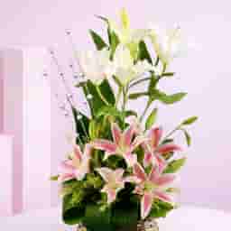 Assorted Pink n White Lilies Arrangements
