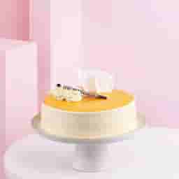 Mixed Gerberas with Butterscotch Delight