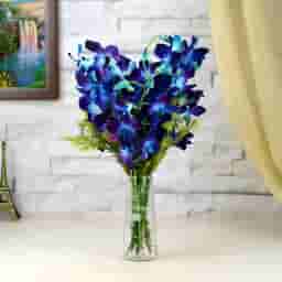 Pretty Blue Orchids Bunch