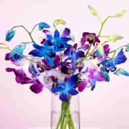 Blooms in a Cylindrical Vase