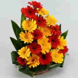 Exhilarating Floral Beauty