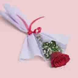 Single Red Rose