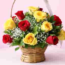 Red and Yellow Roses