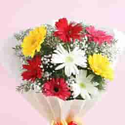Mixed Gerberas with Butterscotch Delight