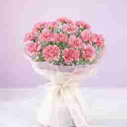 Carnation Combo for Mom
