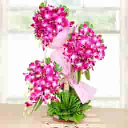 Purple Orchids with Stand