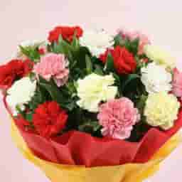 Mixed Carnations Bunches