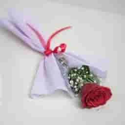 Single Red Rose