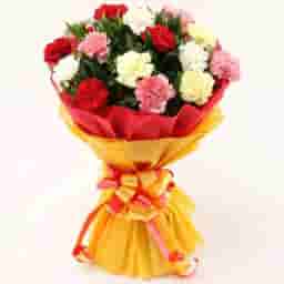 Mixed Carnations Bunches