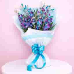 Beautiful Blue & Purple Orchids