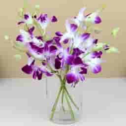 Purple Floral Beauty