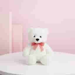 Cute Carnation with Sweet Gifts