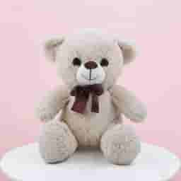 Single Rose & Teddy Chocolate Combo