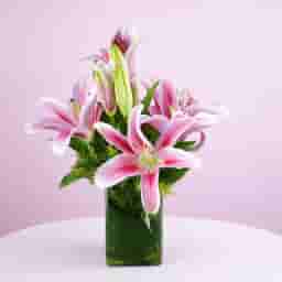 Love Lilies