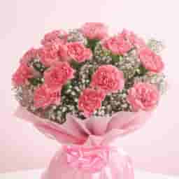 Baby Pink Carnation Bouquet