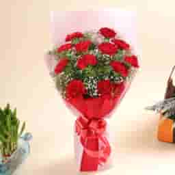 Beautiful Carnations Bouquet