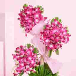 Purple Orchids with Stand