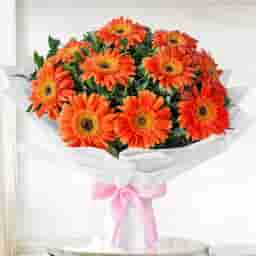 Dazzling Orange Gerberas