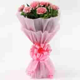 Pink Carnations Bunches