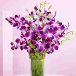 Romantic Purple Orchid Bunch