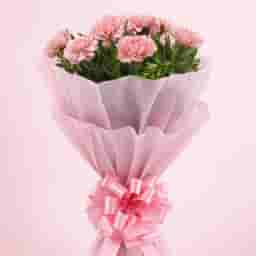 Pink Carnations Bunches