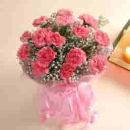 Baby Pink Carnation Bouquet