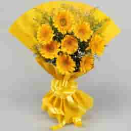 Sunshine Yellow Gerberas