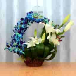 Orchid Basket