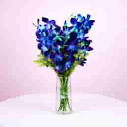 Pretty Blue Orchids Bunch