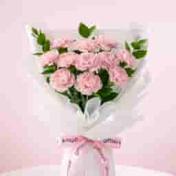 Pink Passion Carnations