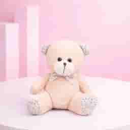 Radiant Roses with Teddy