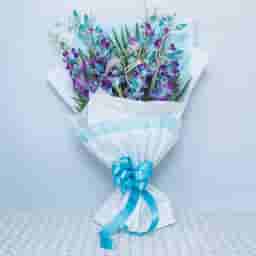 Beautiful Blue & Purple Orchids