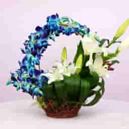 Orchid Basket