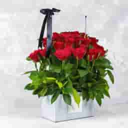 Red Roses in a Box