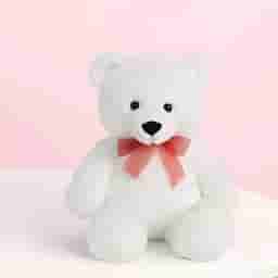 Purple Bloom with Teddy