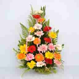 Mesmerizing Mixed Carnations Arrangements