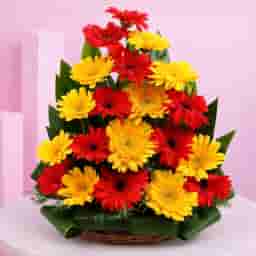 Exhilarating Floral Beauty