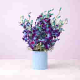 Dreamy Blue Orchids in Vase