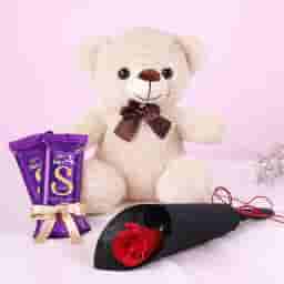 Single Rose & Teddy Chocolate Combo