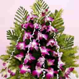 Purple Blooms in a Basket