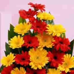 Exhilarating Floral Beauty