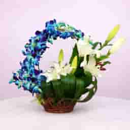 Orchid Basket