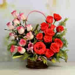 Blush Rose Blossoms