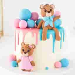 Teddy Theme Cake for Twins