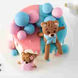Teddy Theme Cake for Twins